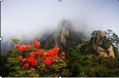 三清山、婺源.篁岭高品质纯玩双高3日游