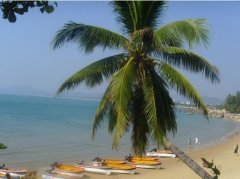 【一路向南】三亚双飞5日游（厦门-三亚往返）