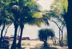 【尊享希尔顿】 三亚五日游 纯玩品质产品（厦门-三亚往返）