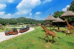 广州长隆+珠海海洋王国双动三日游