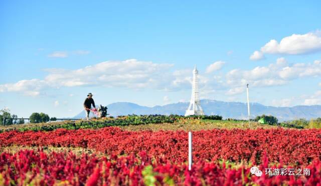 花香四溢-昆明大理丽江双飞6日游